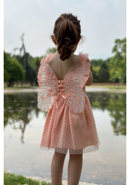 Kız Bebek Elbise Kız Çocuk Elbise Doğum Günü Parti Düğün Elbise Dantelli Kısa Kol astarlı elbise fiyatları