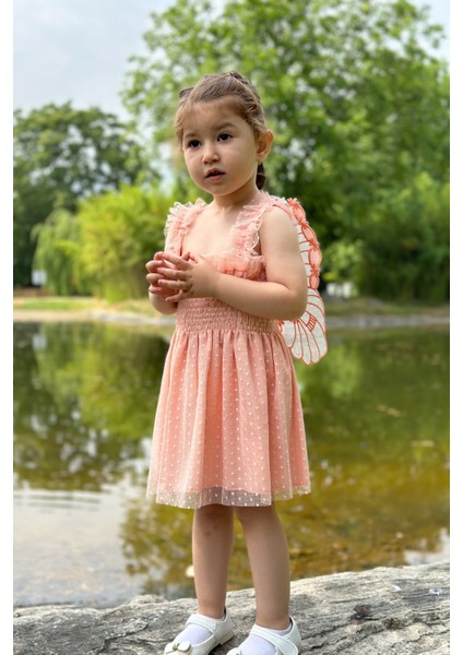 Kız Bebek Elbise Kız Çocuk Elbise Doğum Günü Parti Düğün Elbise Dantelli Kısa Kol astarlı elbise modelleri