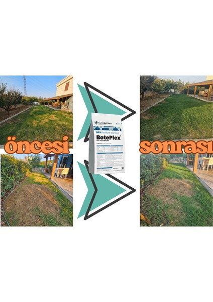 Boteplex 1 kg fiyatları