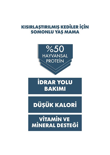 Ultra Premium Somonlu Kısırlaştırılmış Kedi Konservesi 6 Adet 400 gr modelleri