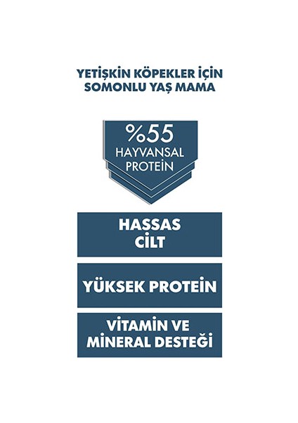 Ultra Premium Somonlu Yetişkin Köpek Konservesi 12 Adet 400 gr modelleri