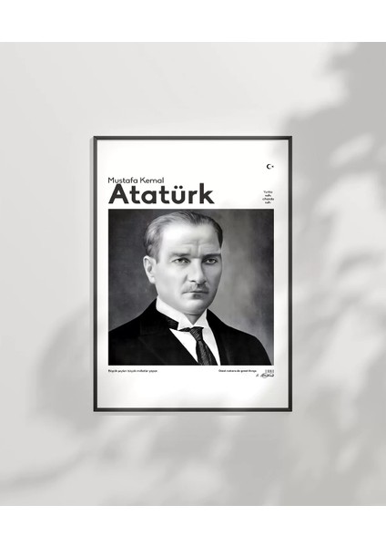 Çerçevesiz Poster Kararlılık ve Vizyon fiyatları