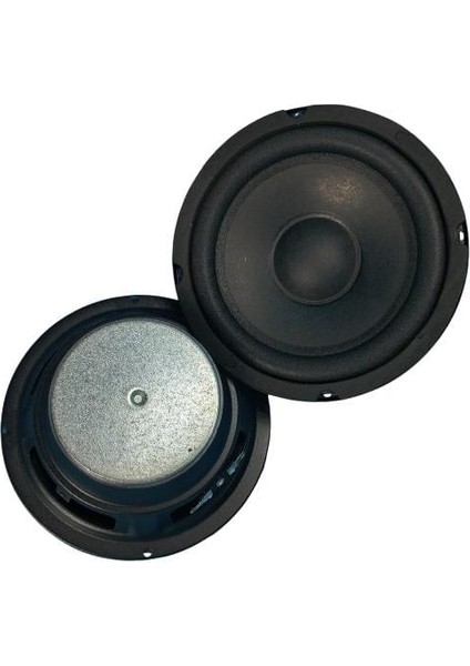 16CM (6,5 Inç) 150 Watt Profesyonel Hoparlör - 8 Ohm