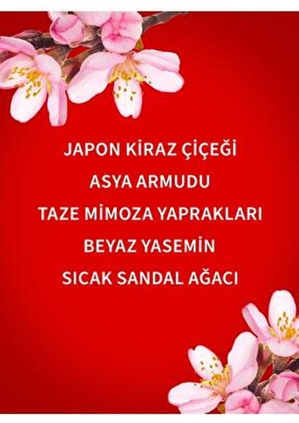 Japanese Cherry Blossom Işıltılı Vücut Spreyi Kadınlar İçin 146 ml fiyatları