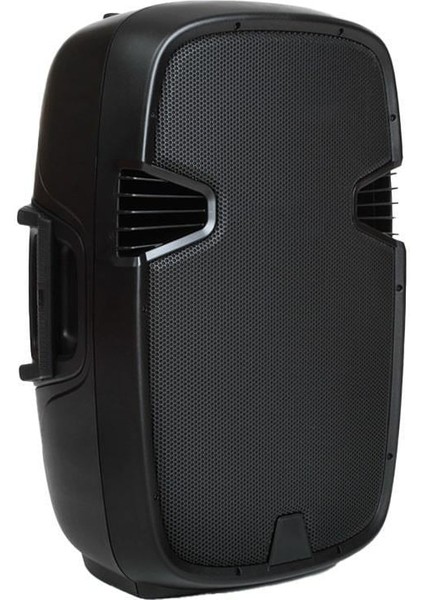 25 cm 10 Inç Boş Plastik Hoparlör Kabini - Model E