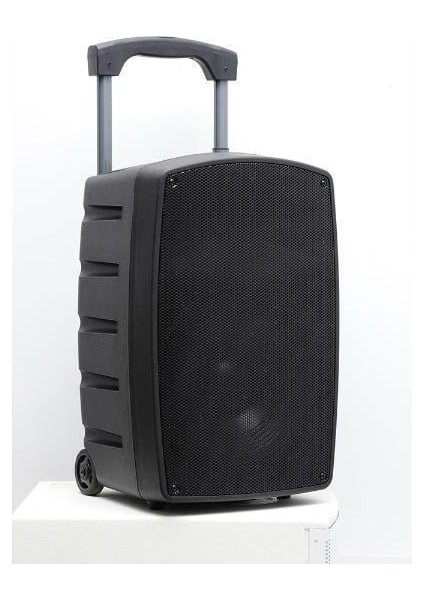 15 Inç 38 cm Taşınabilir Profesyonel Amfili Hoparlör Kabini - 2 Mikrofonlu El+Yaka