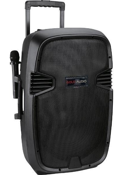 15 Inç 38 cm Taşınabilir Amfili Hoparlör Kabini - 2 Mikrofonlu El+Yaka
