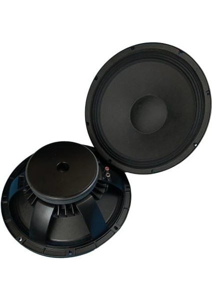 38CM (15 Inç) 800 Watt Profesyonel Döküm Kasa Hoparlör - 8 Ohm