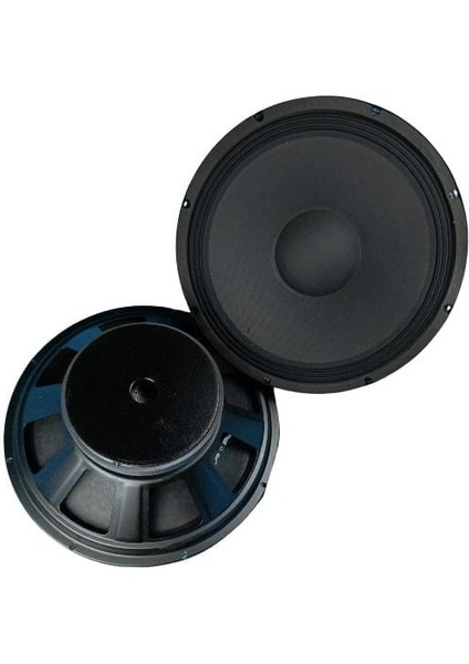 38CM (15 Inç) 800 Watt Profesyonel Hoparlör - 8 Ohm