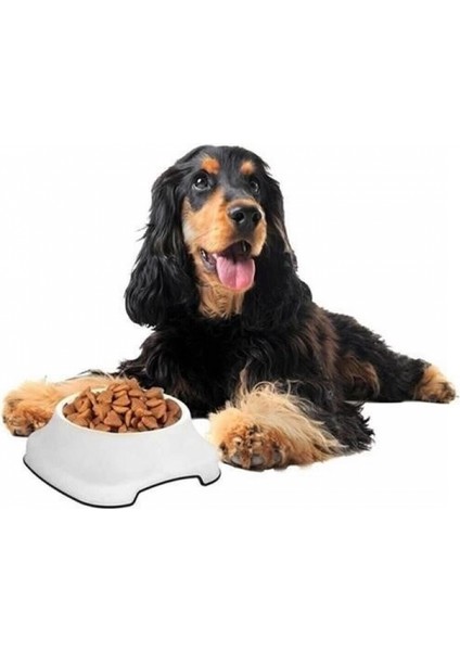 Silikon Kaydırmaz Taban Plastik Kedi ve Köpek Mama ve Su Kabı 2 L fiyatları