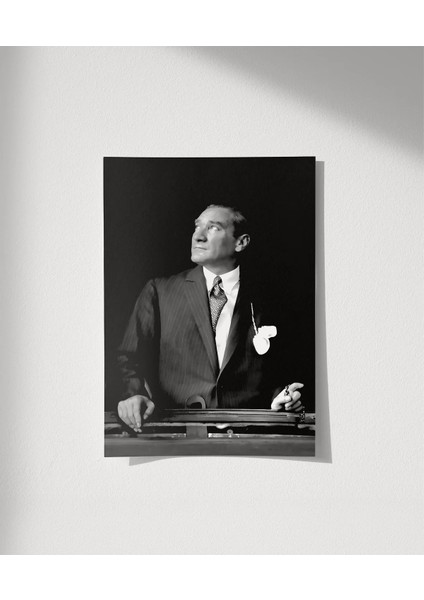 Çerçevesiz Poster Ufka Bakan Lider