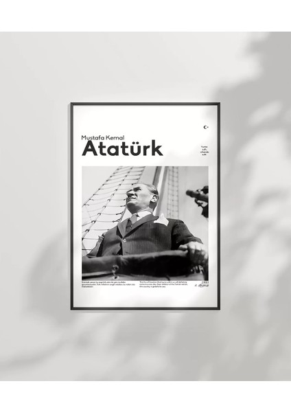 Çerçevesiz Poster Özgürlüğün Yüzü fiyatları