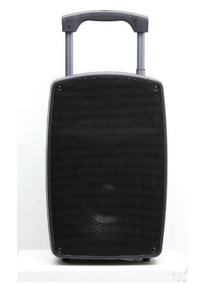 12 Inç 30 cm Taşınabilir Profesyonel Amfili Hoparlör Kabini - 2 Mikrofonlu El+Yaka modelleri