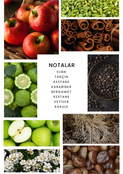 Warrior Parfüm 100 ml fiyatları