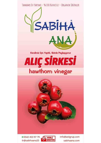 Organik Ev Yapımı Alıç Sirkesi fiyatları