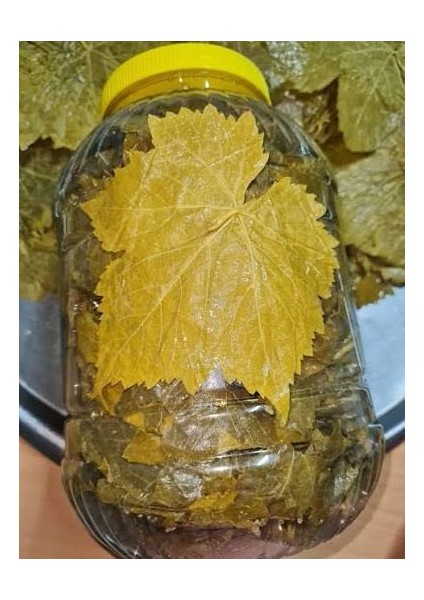 Manısa Asma Yapragı