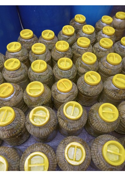 Manısa Asma Yapragı fırsatları