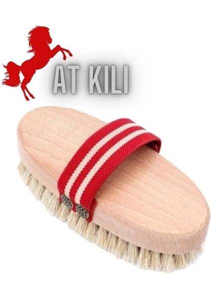 Absolute At Kılı Kuru Islak Selülit Peeling Fırçası