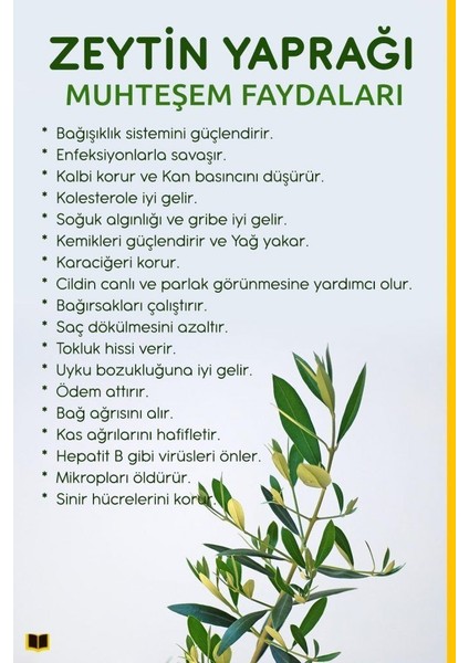 Zeytin Yaprağı Çayı 50GR indirimleri