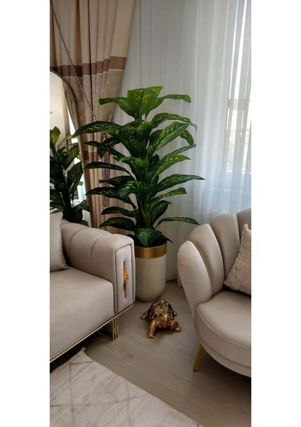 Krem Gold Darbuka Saksıda Difenbahya -180 cm fiyatları