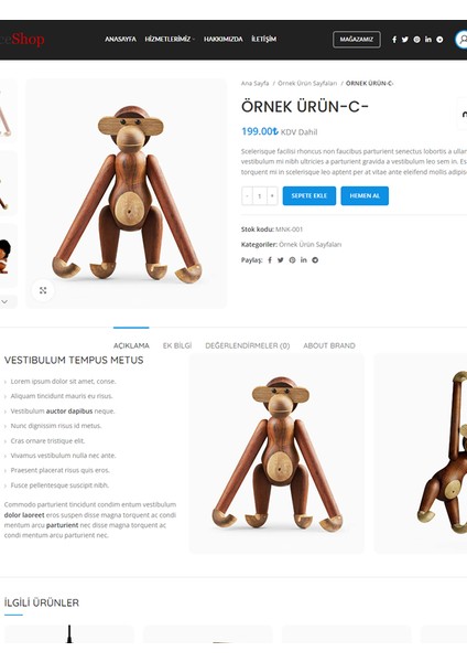 Sadeceshop Internet Sitesi Normal Ürün Ekleme-B-