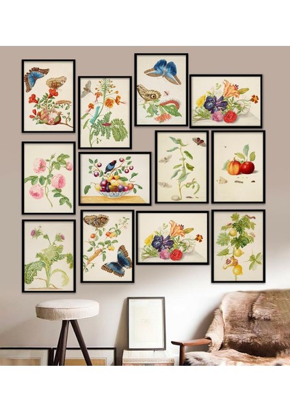 12 Parça Çerçeve Görünümlü Mdf Tablo Seti