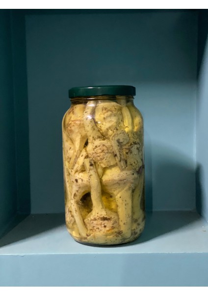 Roma Usulü Yağda Saplı Enginar 2900 gr modelleri