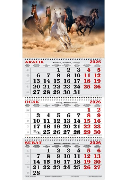 2026 Yılı Gemici Takvimi-Kır Atları