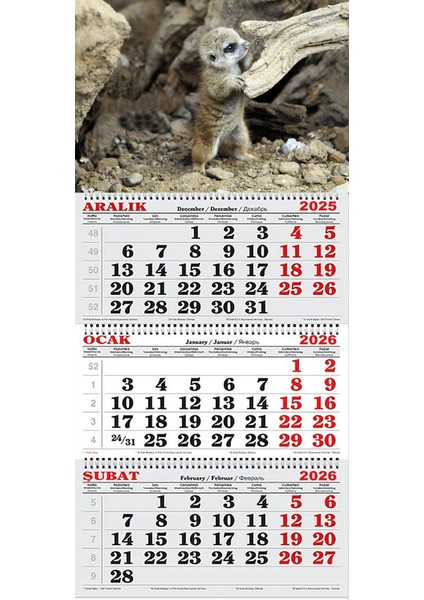 2026 Yılı Gemici Takvimi-Mirket