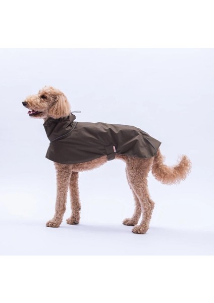 Polarlı Haki Colombia Prime Su Geçirmez Orta-Büyük Irk Köpek Pratik Yağmurluk fiyatları