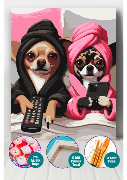 Keyif Sayılarla Boyama Seti