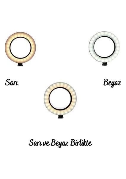 8inç 20CM Youtube Instagram Tiktok Selfie Stüdyo Video Fotoğraf Ring Light Tripod LED Halk indirimleri