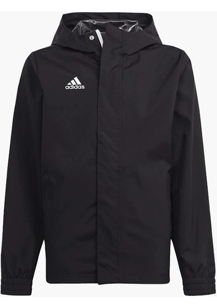 ENT22 Aw Jkt fiyatları