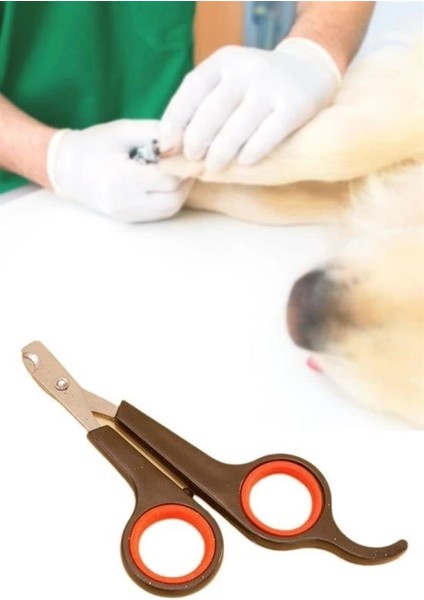 Küçük Çelik Uçlu Kedi Köpek Evcil Hayvan Tırnak Makası Pati Bakım Aleti Ergonomik Kaymaz Sa fırsatları