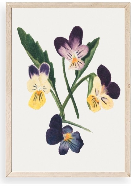 Çiçekler Ahşap Çerçeveli Tablo