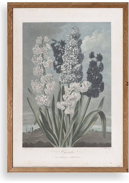 Legendarte Canvas Ahşap Çerçeveli Tablo