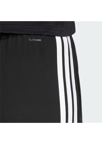 Train Essentials 3-Stripes Woven Eşofman Altı JI8313