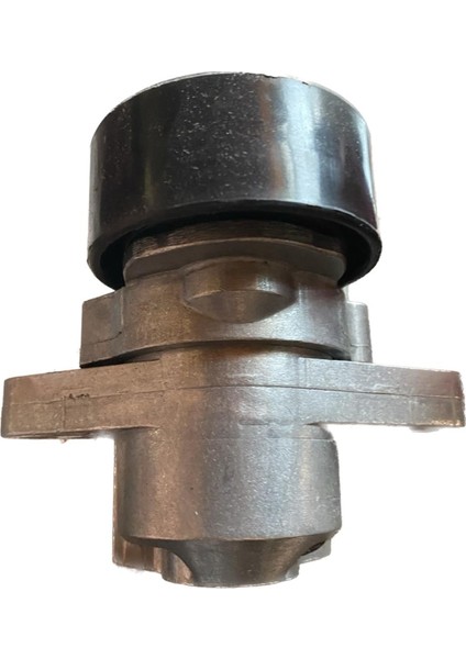 Leıchtens Renault Megane 1.6 16 V Alternatör Gergi Kütüğü