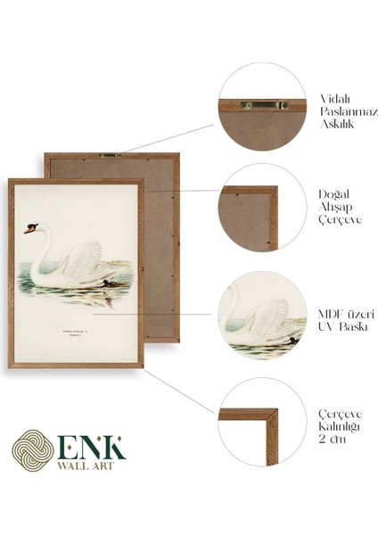 Kuğu Ahşap Çerçeveli Tablo fırsatları