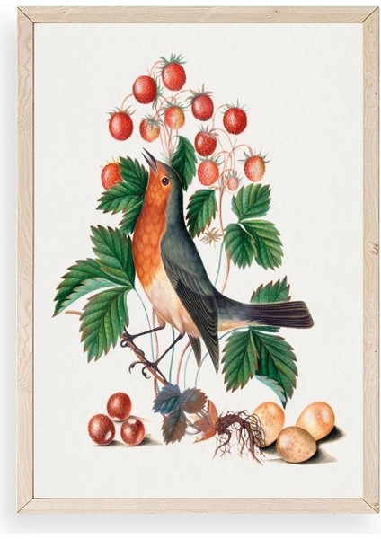 Daldaki Kuş Ahşap Çerçeveli Tablo