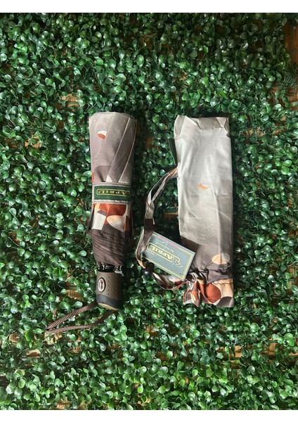 Bayanlar Için Tam Otomatik 10 Tel Şemsiye – Dayanıklı ve Modern Tasarım modelleri