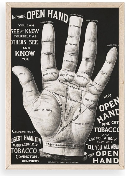 Avuç Okuma Rehberi Ahşap Çerçeveli Tablo