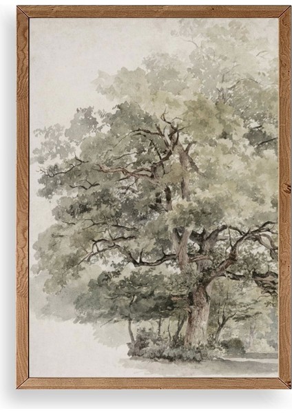 Ağaç Ahşap Çerçeveli Tablo