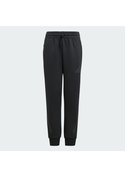 Z.n.e. Tapered-Leg Eşofman Altı JF2491