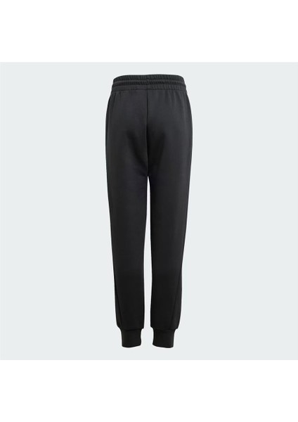 Z.n.e. Tapered-Leg Eşofman Altı JF2491