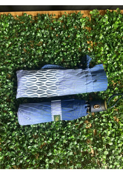 Bayanlar Için Tam Otomatik 10 Tel Şemsiye – Dayanıklı ve Modern Tasarım indirimleri