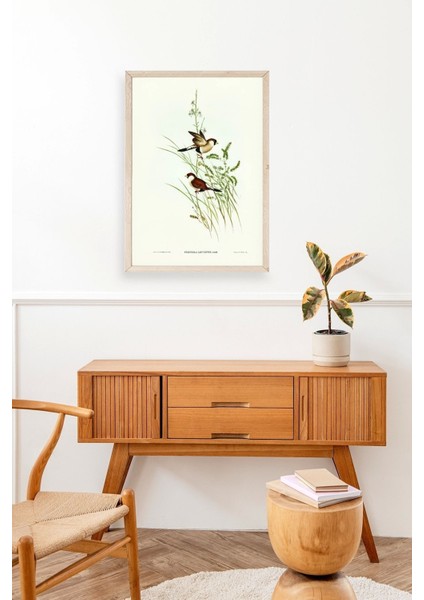 Kuşlar Ahşap Çerçeveli Tablo modelleri