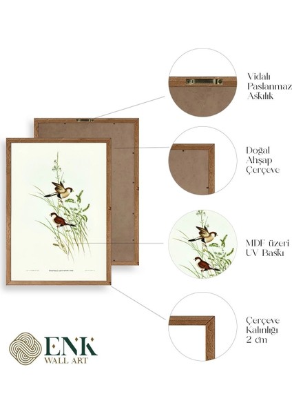 Kuşlar Ahşap Çerçeveli Tablo fırsatları