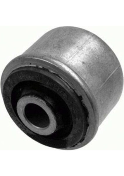 Salıncak Burcu Alt Megane R19