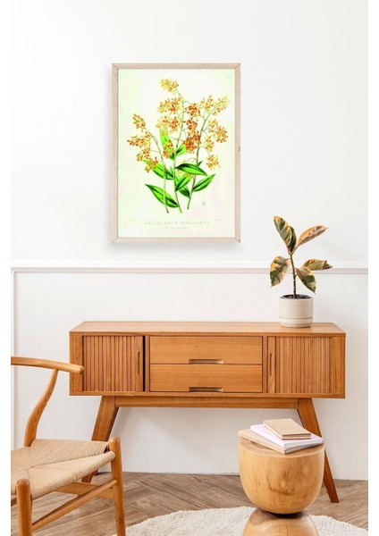 Çiçek Ahşap Çerçeveli Tablo modelleri